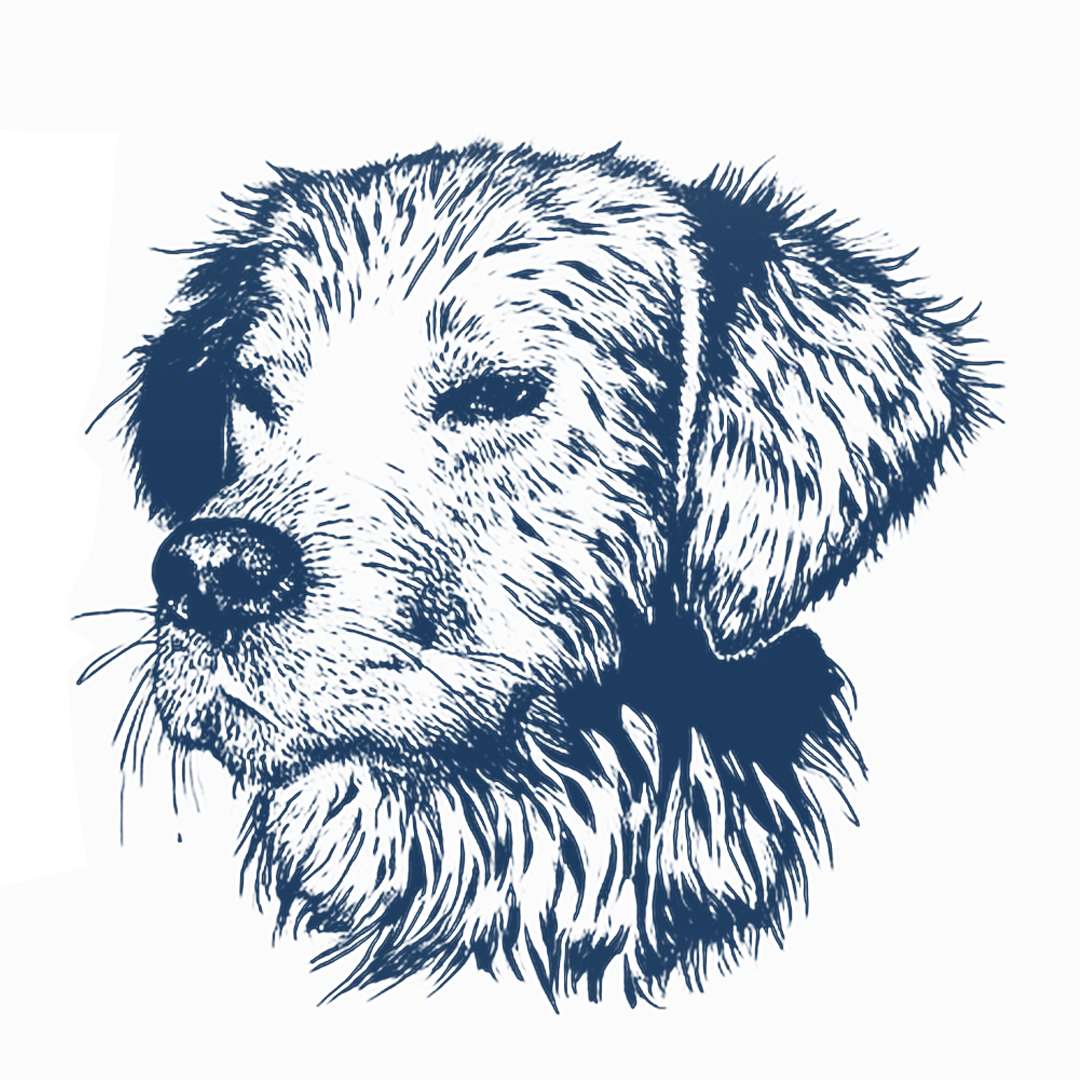 Blue Birch Pet Care